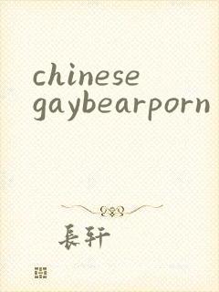 chinesegaybearporn