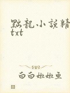 黜龙小说精校版txt