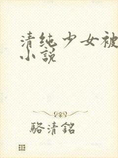 清纯少女被调教小说