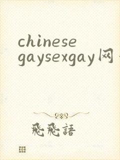 chinesegaysexgay网站封面