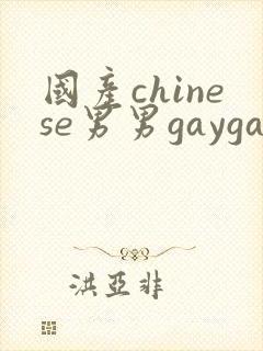 国产chinese男男gaygay网站vk