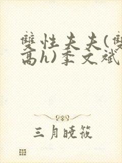 双性夫夫(双性高h)季文斌