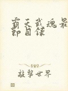 霸天武魂最新章节目录封面