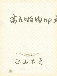 高h啪肉np文