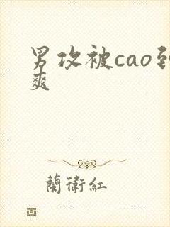 男攻被cao到爽封面