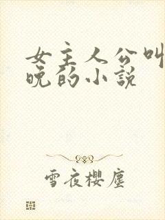 女主人公叫沈星晚的小说