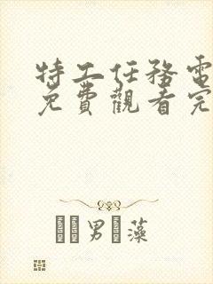 特工任务电视剧免费观看完整版封面