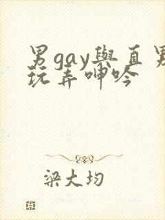 男gay与直男玩弄呻吟