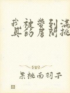 我被带到满是玩具的房间挑调作文