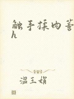 触手揉肉蒂高潮h