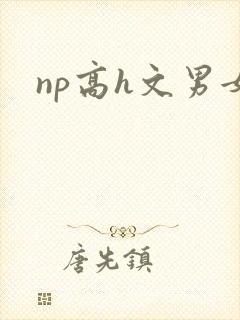 np高h文男女封面