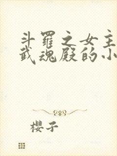 斗罗之女主加入武魂殿的小说