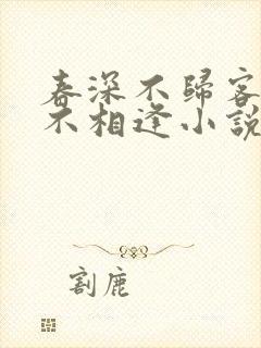 春深不归客清梦不相逢小说全文阅读封面