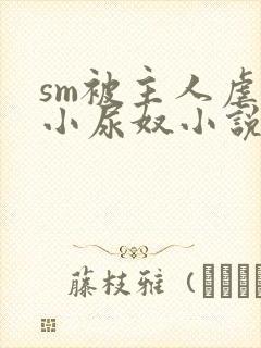 sm被主人虐玩小尿奴小说