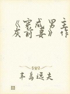 《穿成男主的炮灰前妻》作者:华阙阙封面