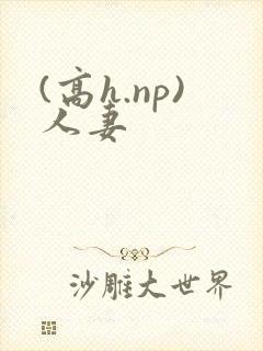 (高h.np)人妻