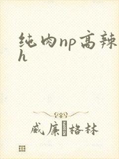 纯肉np高辣文h
