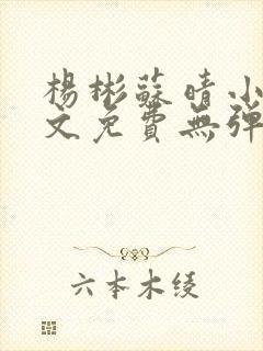 杨彬苏晴小说全文免费无弹窗阅读