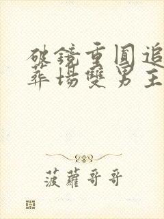 破镜重圆追夫火葬场双男主