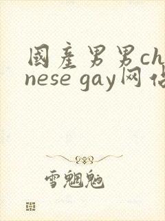 国产男男chinese gay网站
