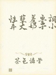 性孽羞鲁调教玩弄大奶子小说封面