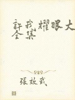 许我耀眼大结局全集