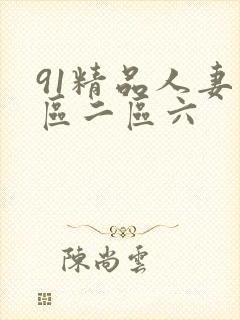 91精品人妻一区二区六