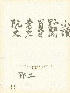 阮棠肖野小说全文免费阅读