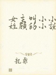 女主叫小小男主姓顾的小说