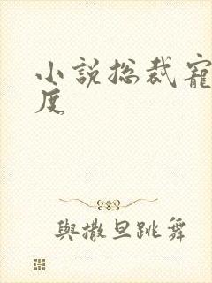 小说总裁宠妻无度