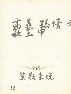 高义 孙倩 赵敏王申封面