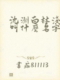 沈洲白林浅小说叫什么名字封面