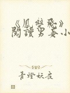 《凤双飞》在线阅读男妾小说封面