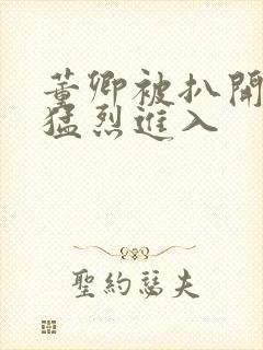董卿被扒开双腿猛烈进入