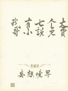 我有七个大佬哥哥小说免费阅读
