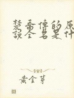 楚乔传的原著小说全名是什么啊