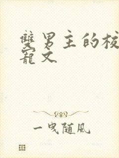 双男主的校园甜宠文