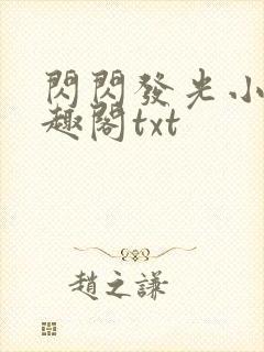 闪闪发光小说笔趣阁txt封面