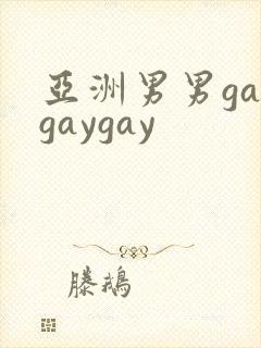 亚洲男男gaygaygay