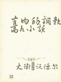 有肉的调教np高h小说