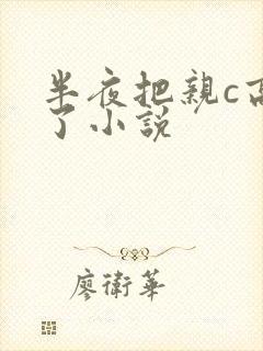半夜把亲c高潮了小说封面