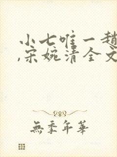 小七唯一赵振国,宋婉清全文阅读免费