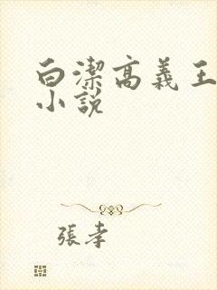 白洁高义王局长小说封面