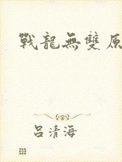 战龙无双原著