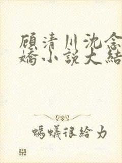 顾清川沈念李娇娇小说大结局封面