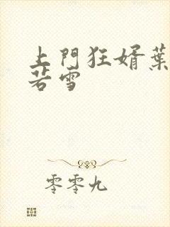 上门狂婿叶凡唐若雪