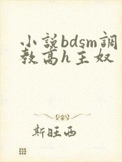 小说bdsm调教高h主奴