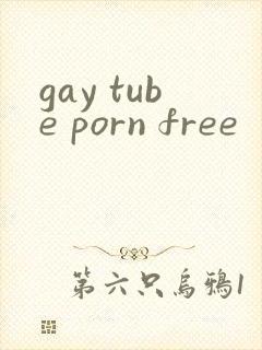 gay tube porn free封面