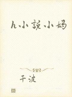 h小说小妈