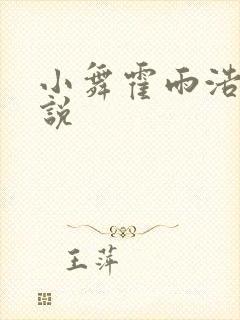 小舞霍雨浩h小说